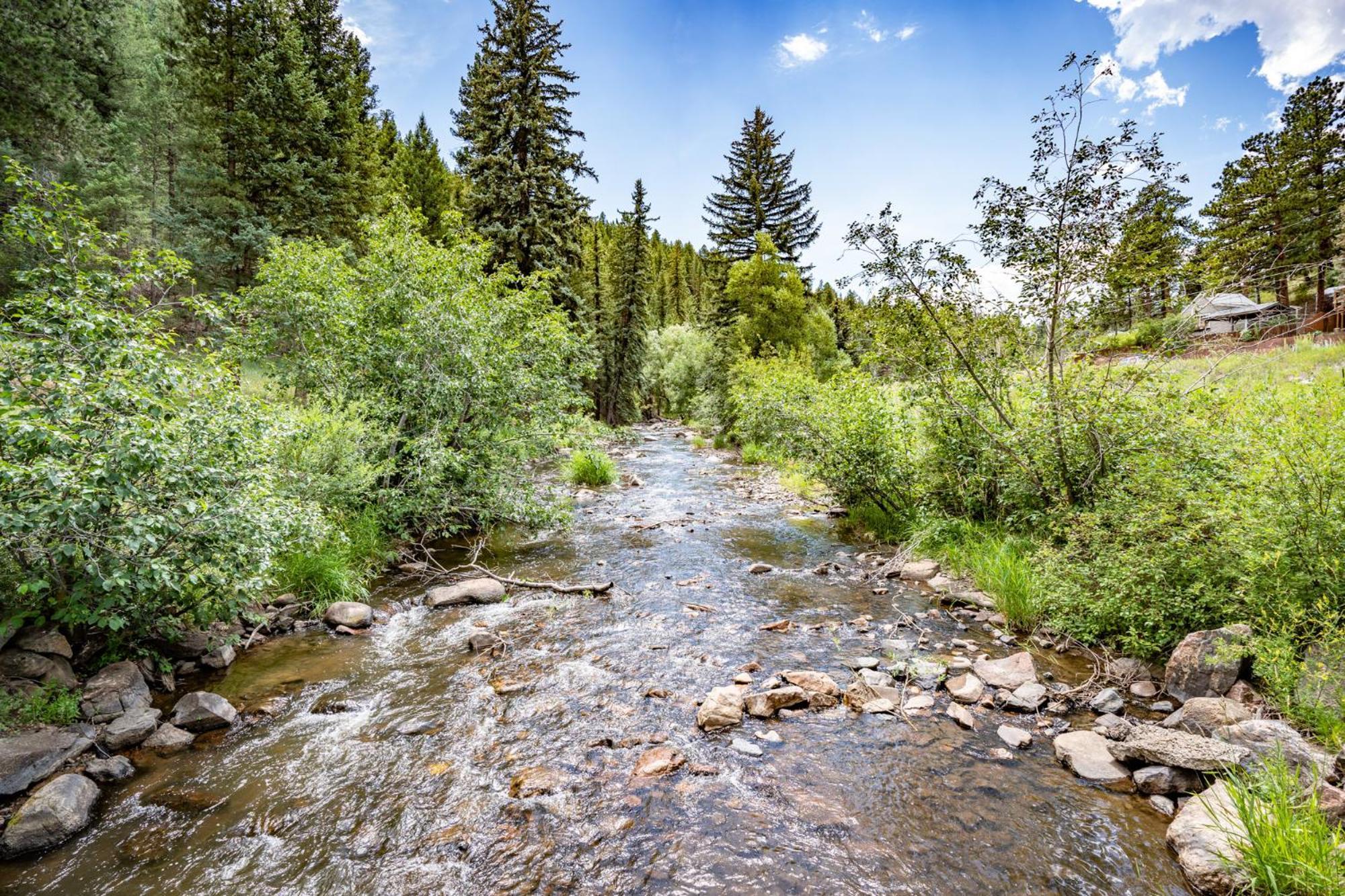 Colorado Bear Creek Cabins Evergreen Camera foto